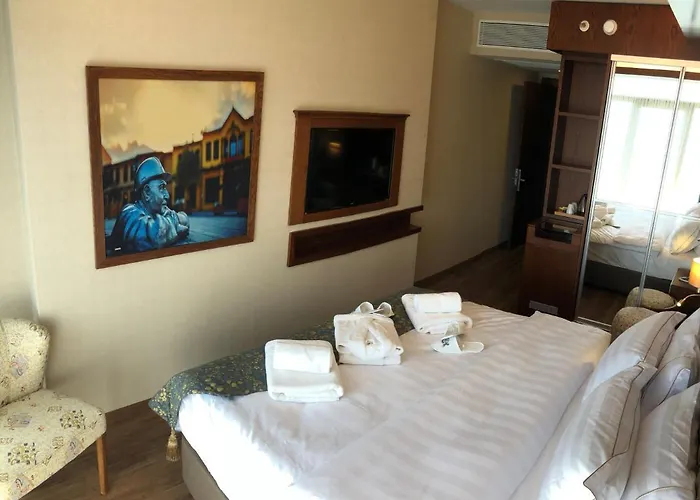 ホテル Sarar Kizilcikli エスキシェヒル